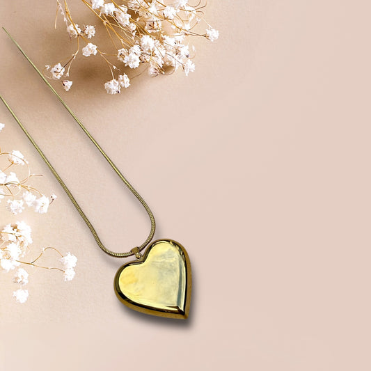 Long Big Heart ketting